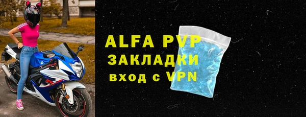хмурый Инта