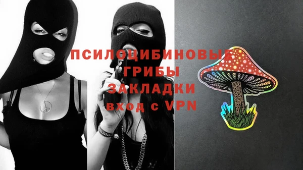 2c-b Абаза
